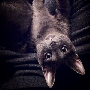 Meet your Posher, John